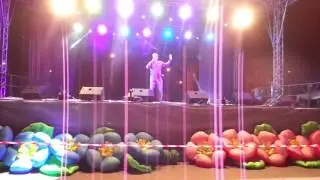 Я поднимаю руки...Пир на весь мир. Чаплыгин 2017.