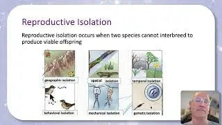 Macroevolution