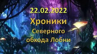 22.02.2022 года. Хроники строительства Северного обхода Лобни