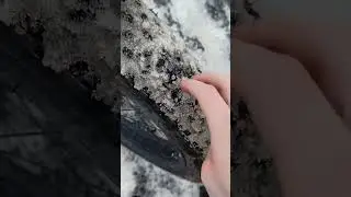 Обзор на фэтбайк, но как асмр