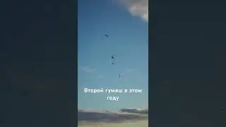 #hunting