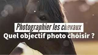Quel objectif photo pour photographier des chevaux ?