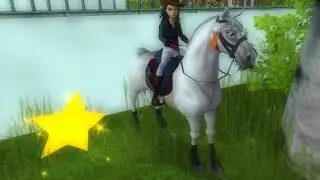 Star Stable 4th 5,000 Star Coins Giveaway Winner!