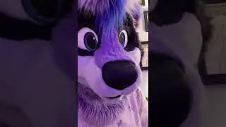 Telegram #fursuit #furry #furrymemes