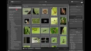 Lightroom Basics   Library Module, Import, Catalog, Indexing on 23 May 2020