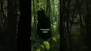 #jin #paranormal #video #youtubeshorts #story #öneçıkar  #youtube #shorts