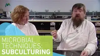 Microbiology Techniques: Subculturing