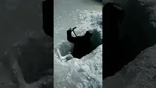 шура рыба уже близко