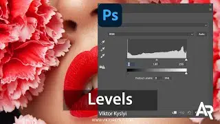 Levels. How to use Levels Adjustment in Photoshop