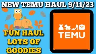 The Best Of Temu's Hauls: 9/11/23
