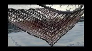 №69 Бактус 