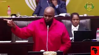 EFF Floyd Shivambu Hitting Back At Minister Of Electricity