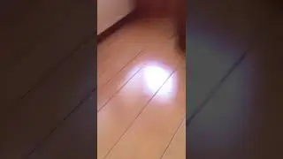 Завидово