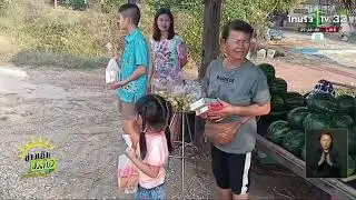 Đài truyền hình nổi tiếng Thái Lan nói về tăng đoàn của ngài Thích Minh Tuệ bộ hành trên đất Thái.
