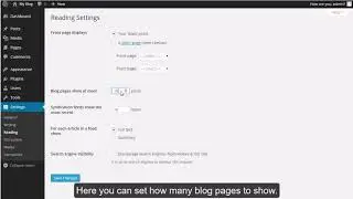 How to configure your settings in WordPress?