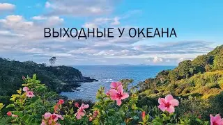 UA in NZ Выходные с видом на Тихий Океан. Люди Новой Зеландии. Встреча с друзьями. Иммиграция