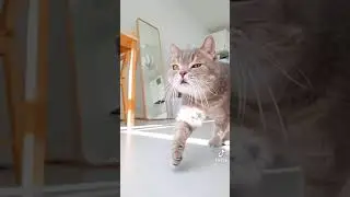 Хозяин жизни))