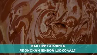 Как приготовить японский живой шоколад?