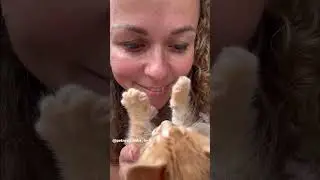 Управляемся с делами и НА ДАЧУ ПОЕХАЛИ 🤗🤗🤗