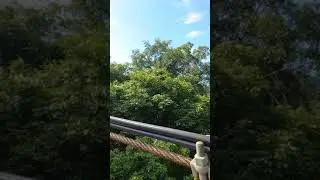 HANGING BRIDGE | MORONG,BATAAN