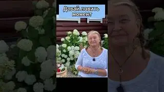 Элен Этель о способности русских наслаждаться моментом. #сирень #вечныйзов #момент #настоящиймомент