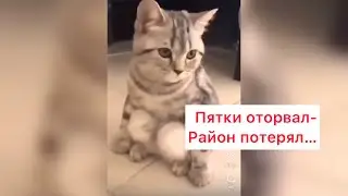 На кортах 😹😹😹