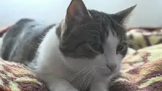 Bobby ile HLG ve BT.2020 Deniyoruz