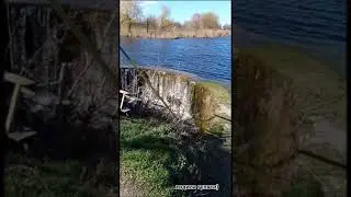 мій день) #мотивация #рекомендации