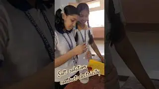 #experiment shows #salt  #water solution #conduct  #electricity   #instareels #practical #physics