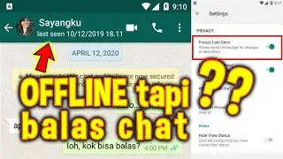 How to make Whatsapp offline for days, even though it's online