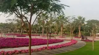 Dubai Park small but beautiful🌳🏞️ 