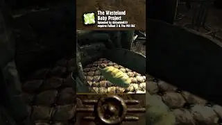 Babies Inherit the Capital Wasteland in #Fallout 3
