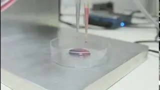 Towards Bioprinting: droplet dispensing by micro-electro-valve