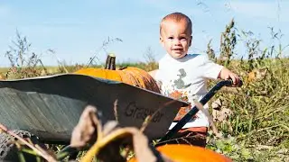 Pumpkin Patch in Germany