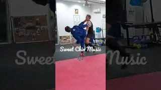 Sweet Chin Music 🎶 #martialarts #mma #hookkick