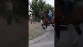 Маҳорати Мӯсафеда бинен 😱😱😱😱