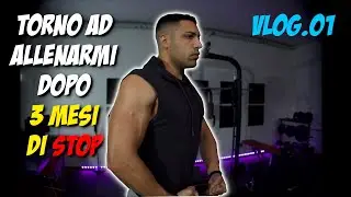Riprendo ad allenarmi - Vlog 01 - ALE MORNATA