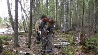 Матерая | Регулирование численности волка | 2021