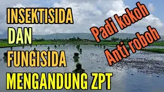 INSEKTISIDA DAN FUNGISIDA YANG MENGANDUNG ZPT