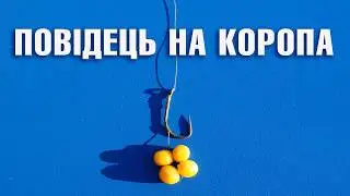 Як зв'язати повідець для трофейного коропа / Повідець на 4 горошини