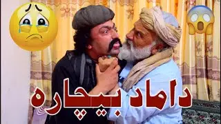 نمایش 