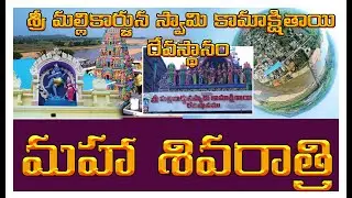 శ్రీ మల్లికార్జున స్వామి కామాక్షితాయి దేవస్థానం || జొన్నవాడ || డ్రోన్ విజువల్స్ ||