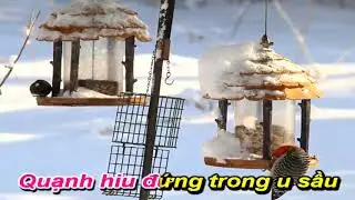 Trang Nhật Ký 2   Karaoke Nhạc Sống 2015