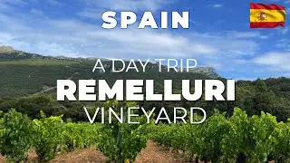 Vineyard Tour - Best Day Trip at Remelluri Vineyard La Rioja Spain