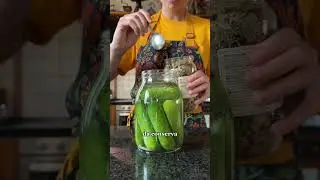 Cetriolini fermentati 🫙 probiotici autoprodotti