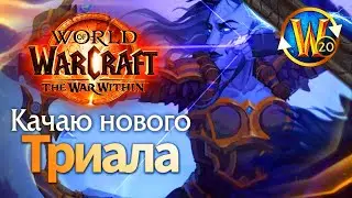 Делаю нового Твинка | Пойндэкстер #shorts #worldofwarcraft #thewarwithin