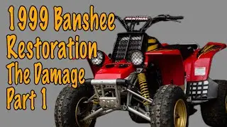 1999 Banshee Restoration Project