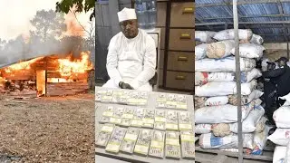 NDLEA storms Edo forests, razes 317 tons Cannabis warehouses and seizes $269,000 fake dollars