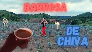 Probando una Barrosa con leche de Chiva // Nos encontramos unos Pavorreales