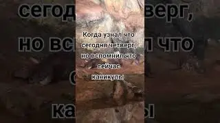 #шайлураптор #индоминусяйца